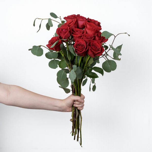 Hand holding red rose bouquet of 12 long-stem red roses with eucalyptus greenery