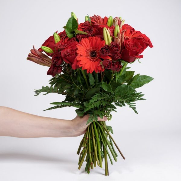 Hand holding bold red bouquet with roses, gerbera daisies, lilies, and lush greenery against white background