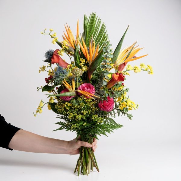 Tropical bouquet with Birds of Paradise, yellow orchids, and pink ranunculus held in hand against white background