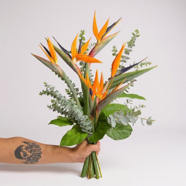 Hand holding bouquet of Birds of Paradise with greenery and eucalyptus