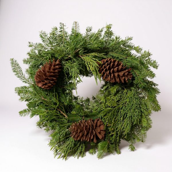 Bare evergreen Christmas wreath with pinecones made from fresh Fraser fir and cedar