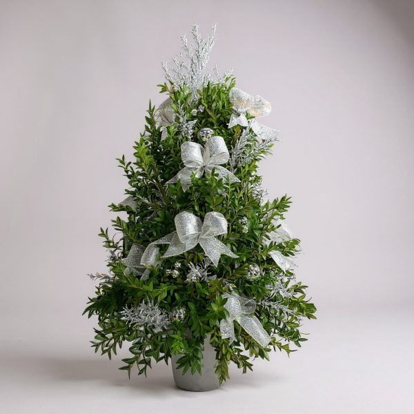 Decorated boxwood Christmas tree with silver ribbon and frosted winter accents in decorative container