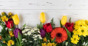 Seasonal flowers guide showing blooms available in spring, summer, fall, and winter