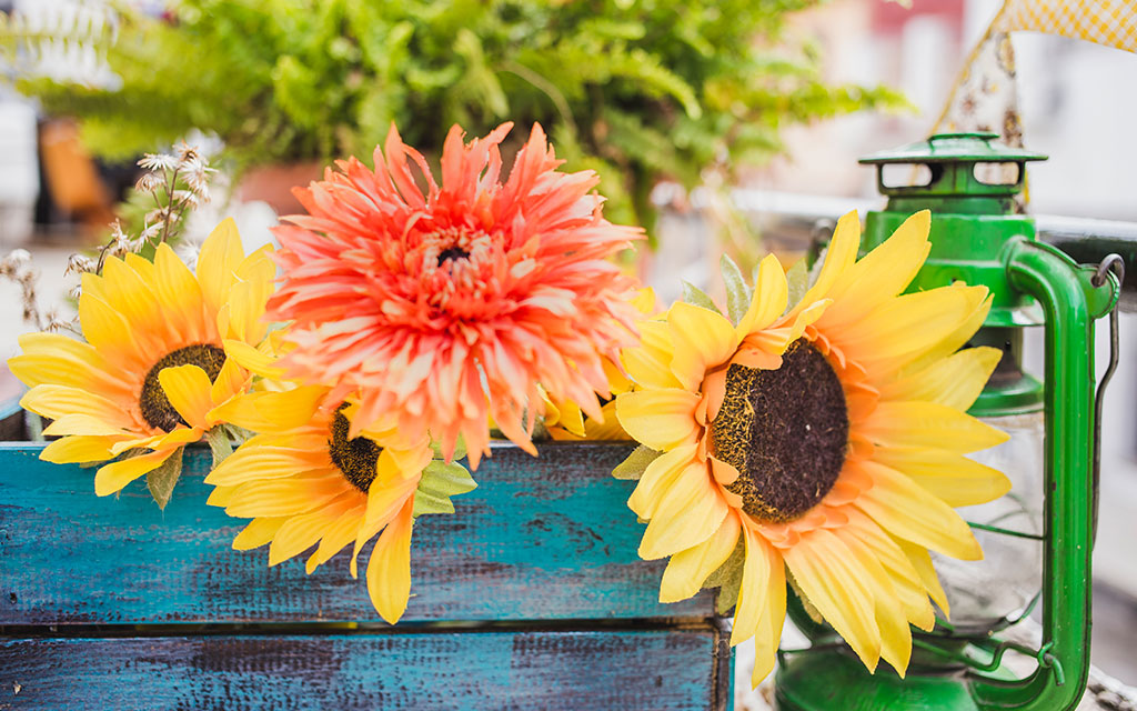 Bright yellow sunflowers and coral dahlia in rustic wooden box displaying vibrant summer seasonal flowers