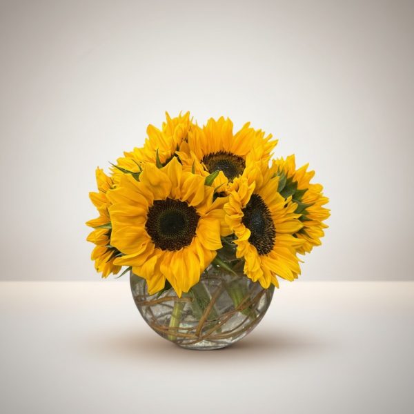 Bright yellow sunflower arrangement in a round glass vase with multiple large sunflower blooms arranged tightly together, photographed on a soft neutral background.