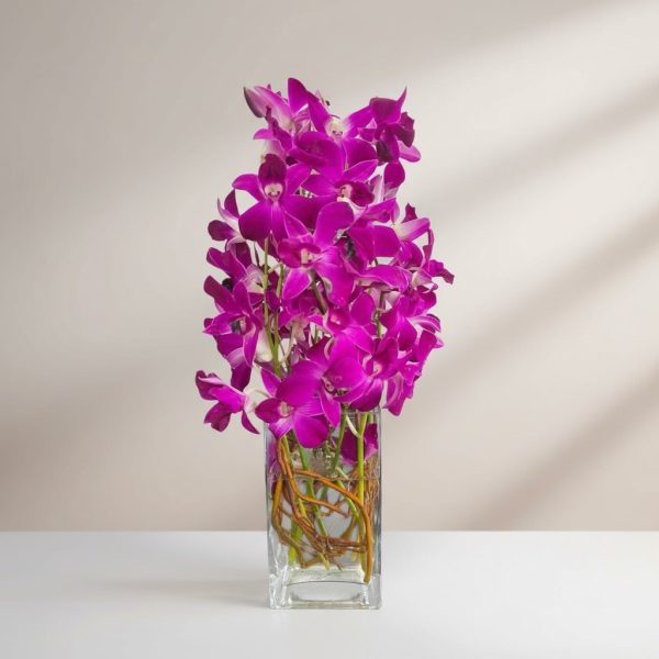 Purple orchid arrangement with multiple orchid stems displayed in a tall clear glass vase.