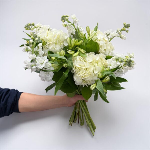 White hydrangea bouquet with white stock, white alstroemeria, and fresh greenery hand-tied by Quinn Florist
