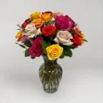 Rose Color Meanings: What Each Color Says and When to Send It